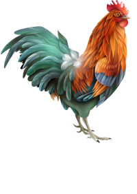 logo-alimentation-pelletier-coq